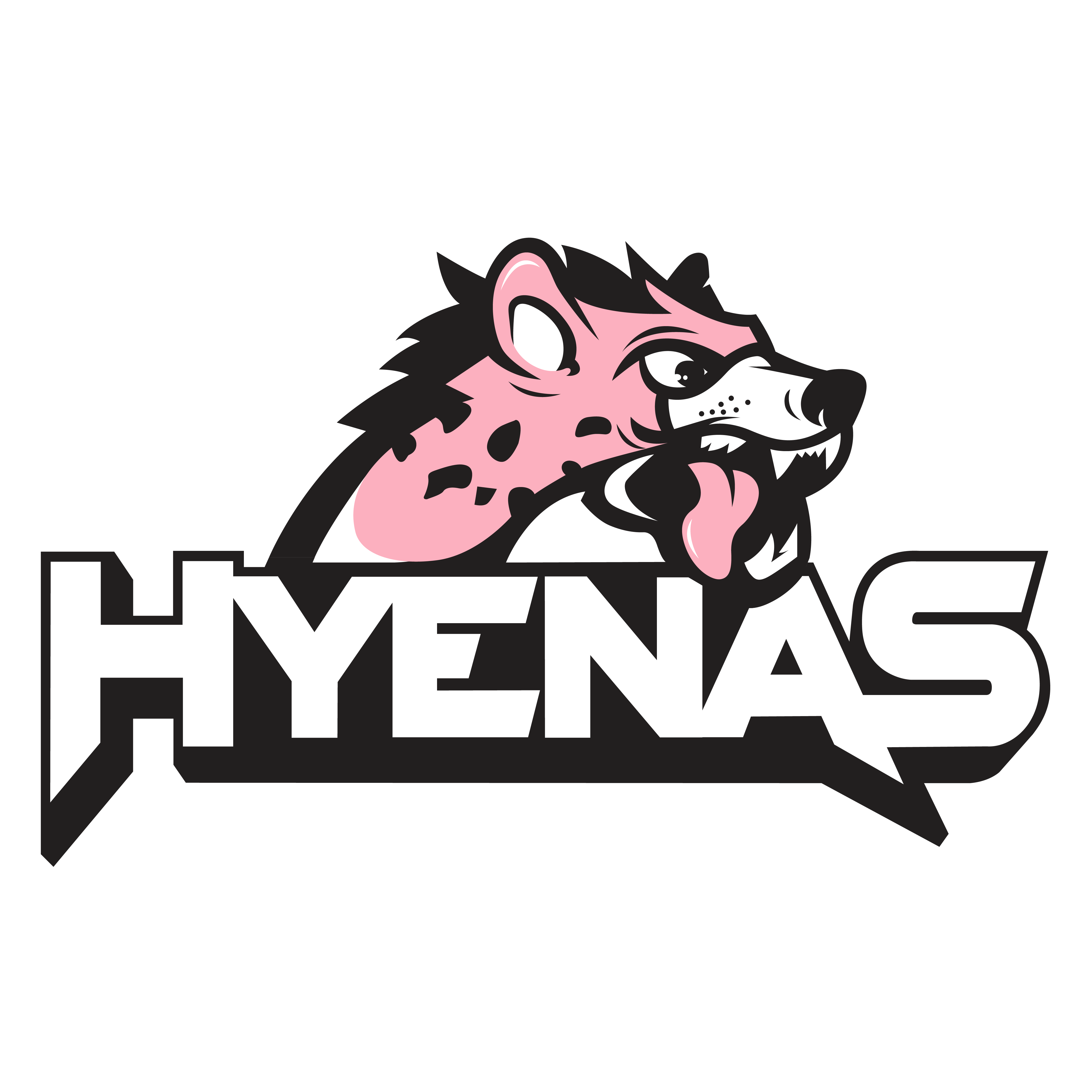 Team Logo